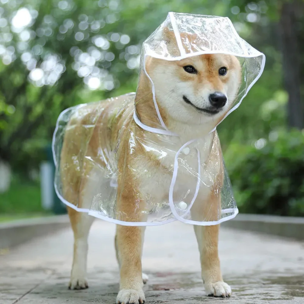 Dog Raincoat - เสื้อกันฝนสุนัขลูกสุนัขโปร่งใส Rainwear สัตว์เลี้ยง Hooded กันน้ําเสื้อผ้า PVC