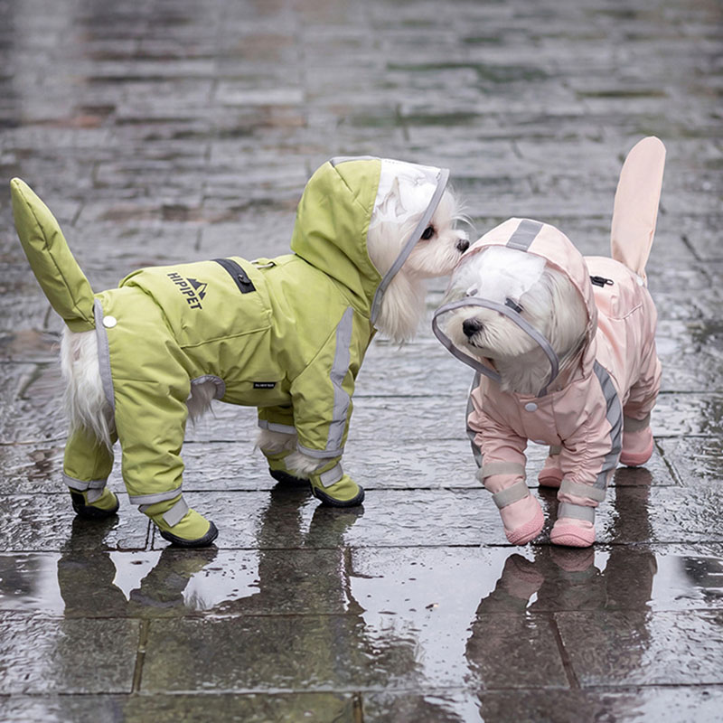 Dog Raincoat - เสื้อกันฝนสำหรับสุนัขแบบใส มีฮู้ด ป้องกันน้ำได้ พร้อมรองเท้ากันฝนแบบสะท้อนแสง สำหรับสุนัขขนาดเล็กถึงกลาง ใช้กลางแจ้ง