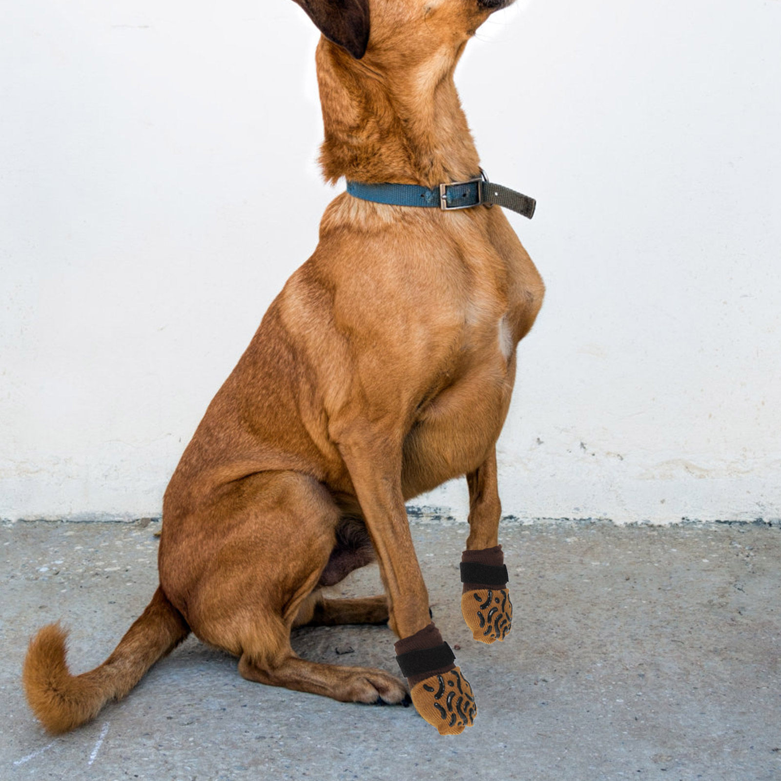 Dog Booties Paw Protector - ถุงเท้าสุนัขกันลื่น 4 ชิ้น ป้องกันอุ้งเท้า สำหรับพื้นไม้เนื้อแข็ง ใช้ได้ทั้งในบ้านและนอกบ้าน