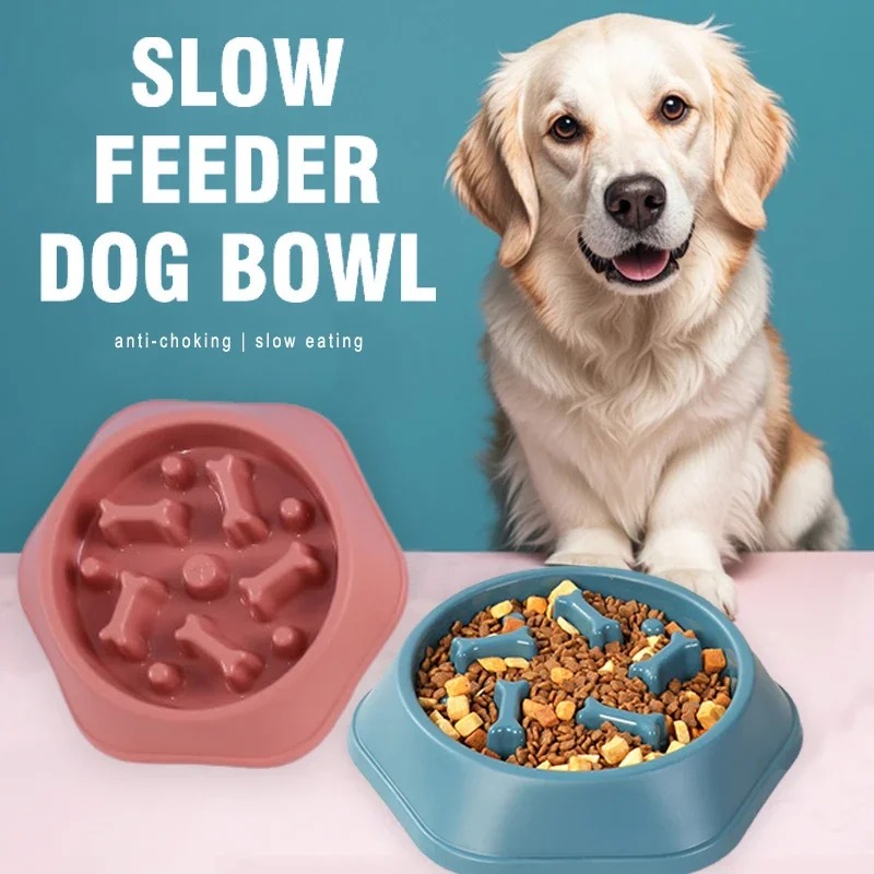Royal Canin Food Medium - ชามอาหารสุนัขแบบป้อนช้า 1 ชิ้น ป้องกันการกินเร็ว ชามอาหารลูกสุนัขกันลื่น ชามอาหารสัตว์เลี้ยงแบบป้อนช้า