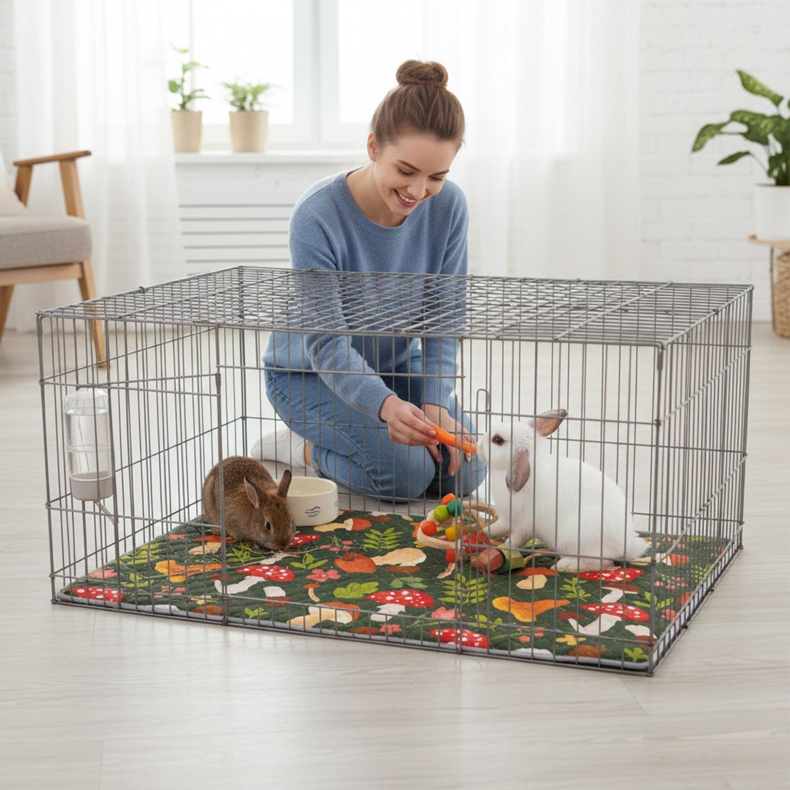 แผ่นรองกรงเฟอร์เร็ต ซึมซับ ซัก - Hedgehog Bedding Liner บทวิจารณ์และราคา