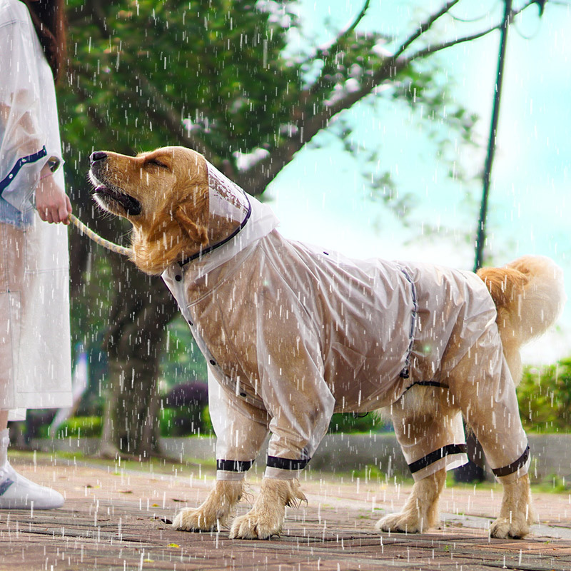 เสื้อกันฝนสำหรับสุนัขแบบกันน้ำ - Dog Raincoat บทวิจารณ์และราคา