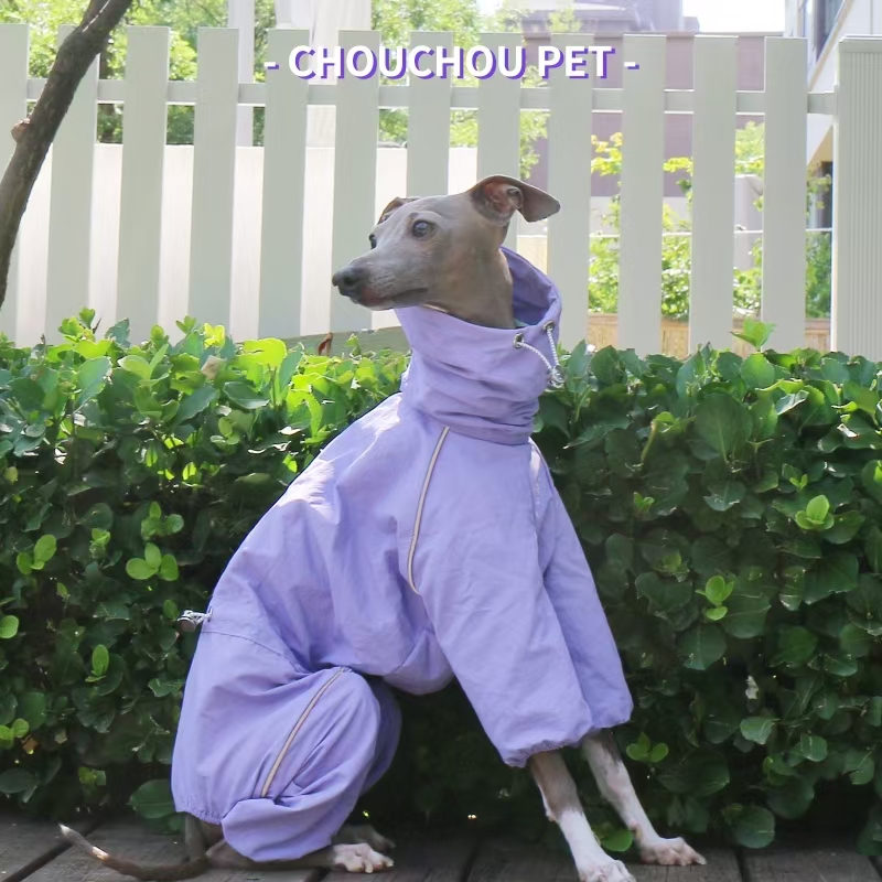 เสื้อกันฝนสำหรับสุนัขพันธุ์อิต - Dog Raincoat บทวิจารณ์และราคา