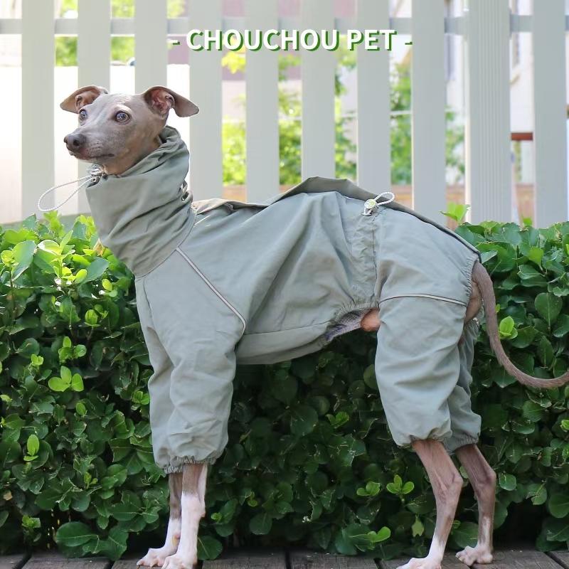 เสื้อกันฝนสำหรับสุนัขพันธุ์อิต - Dog Raincoat บทวิจารณ์และราคา