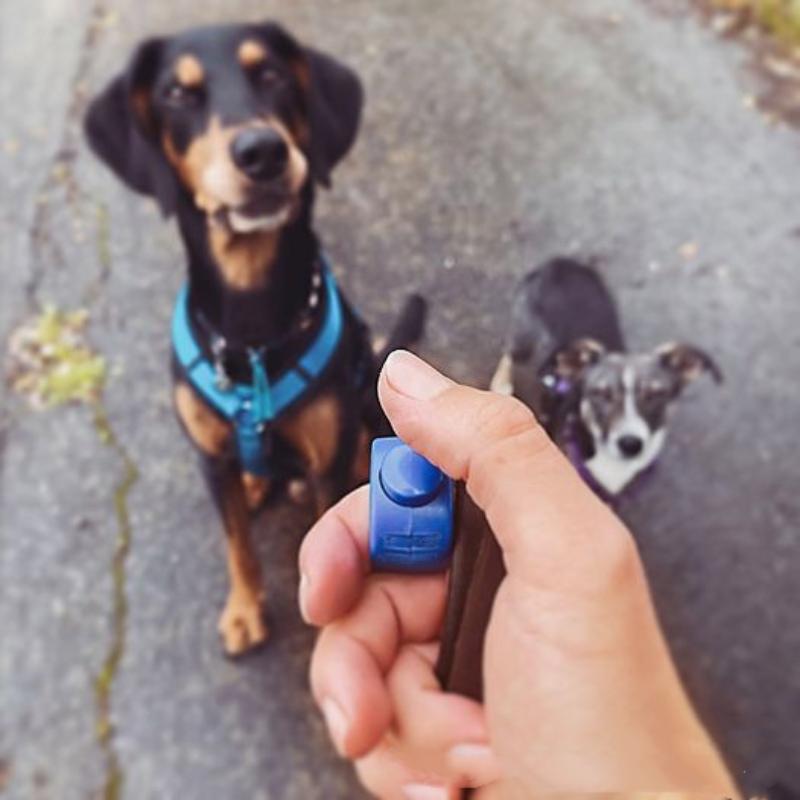 【F】New Ring Clicker Pet Mini F - Training Clicker Dog บทวิจารณ์และราคา