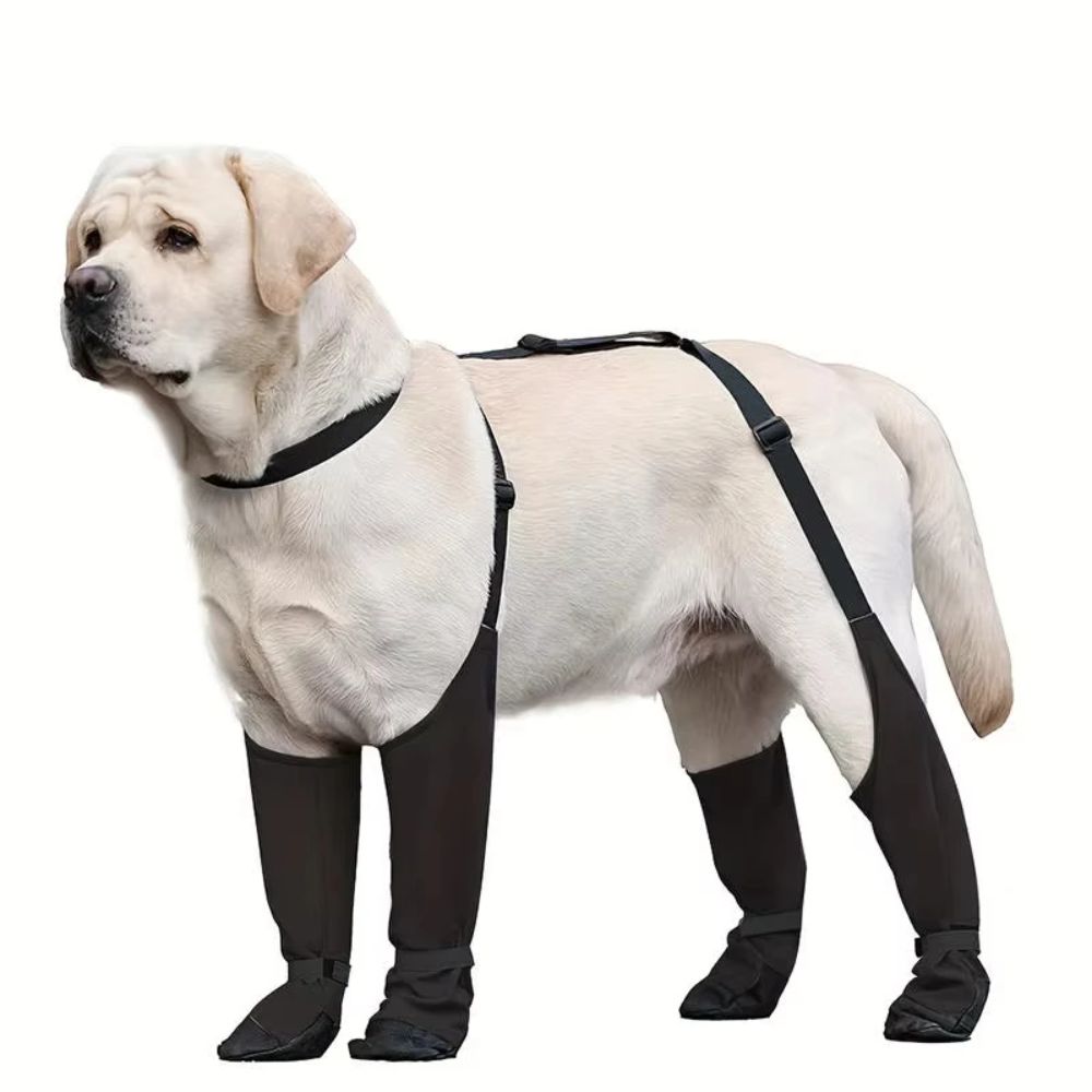 รองเท้าสุนัขกันน้ำกันลื่น ปรับ - Dog Booties Paw Protector บทวิจารณ์และราคา