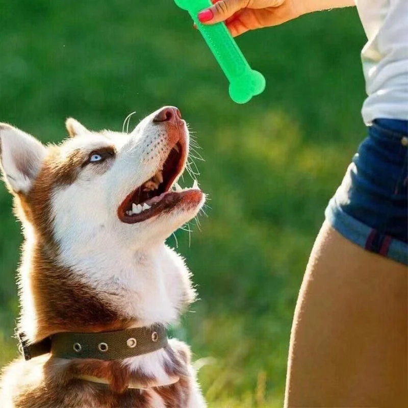 Super Tough Dog Bone Chew ของเ - Training Clicker Dog บทวิจารณ์และราคา