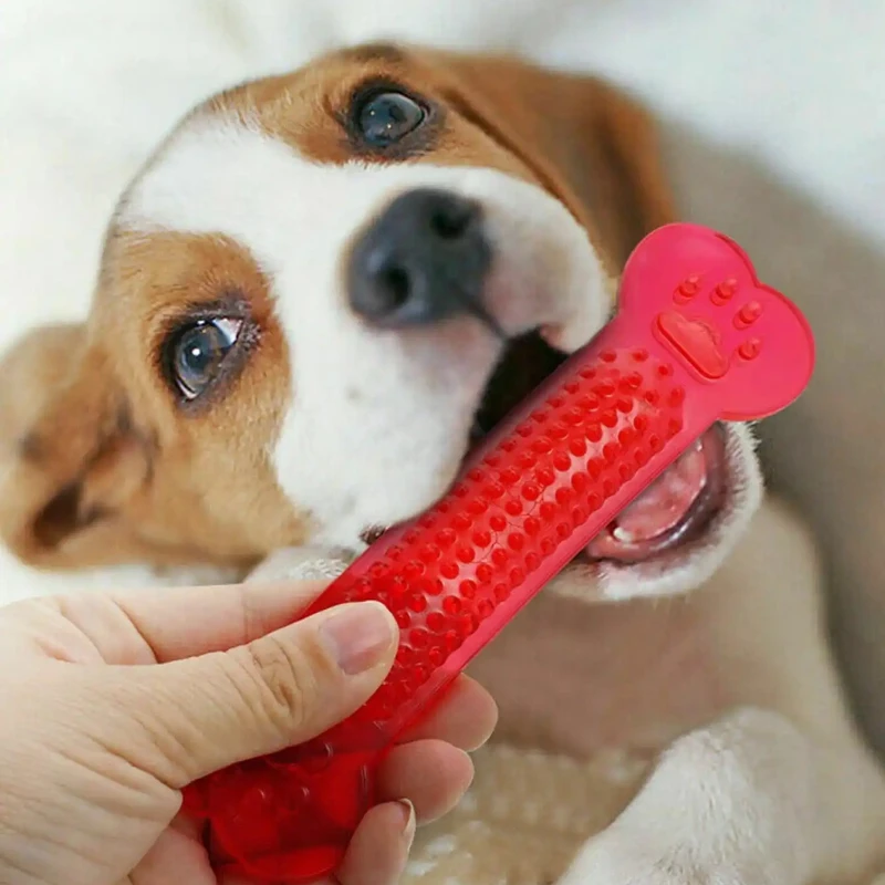 Super Tough Dog Bone Chew ของเ - Training Clicker Dog บทวิจารณ์และราคา