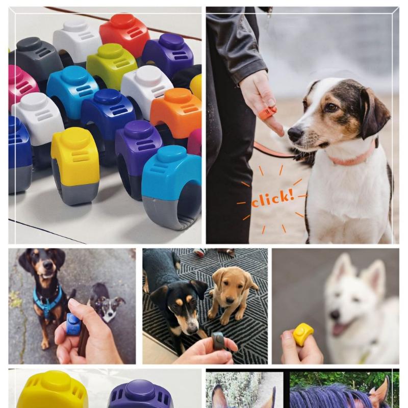 อุปกรณ์ฝึกสัตว์เลี้ยงแบบคลิกเก - Training Clicker Dog บทวิจารณ์และราคา