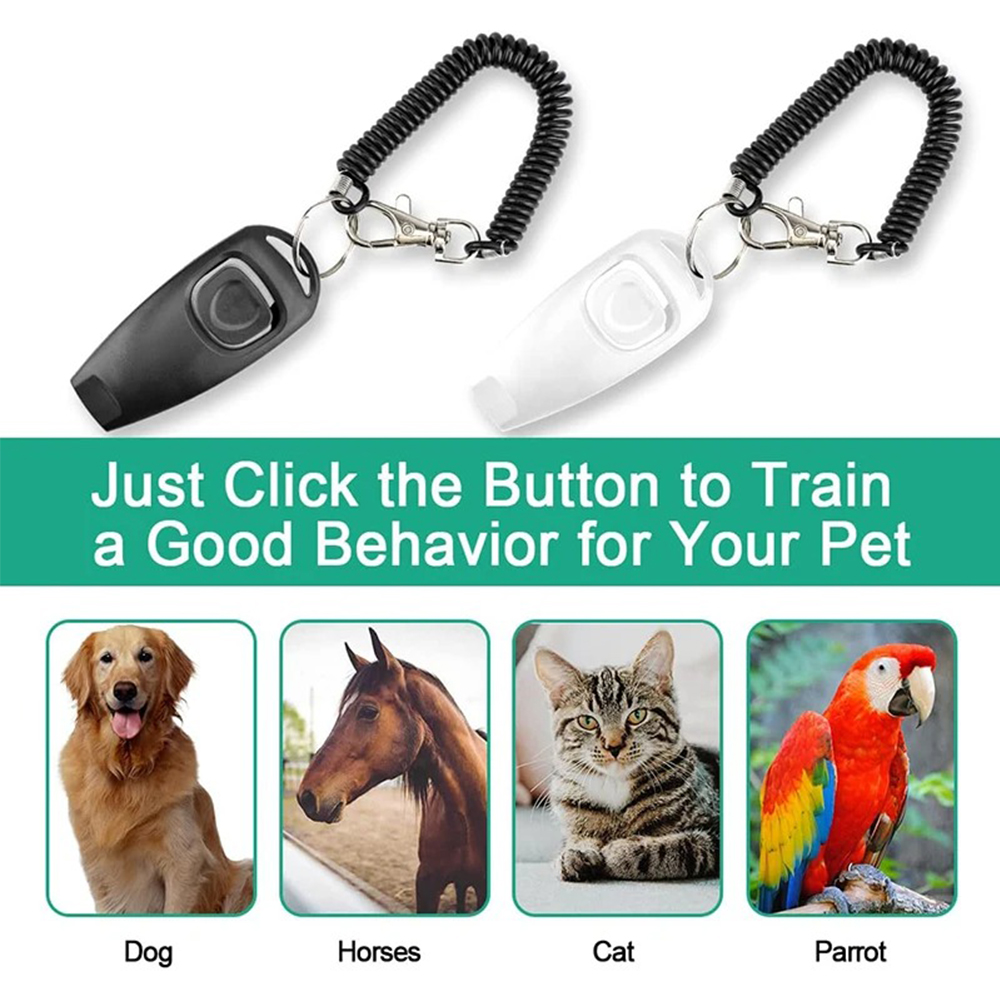 คลิกเกอร์ฝึกสุนัข 2 in 1 พร้อม - Training Clicker Dog บทวิจารณ์และราคา