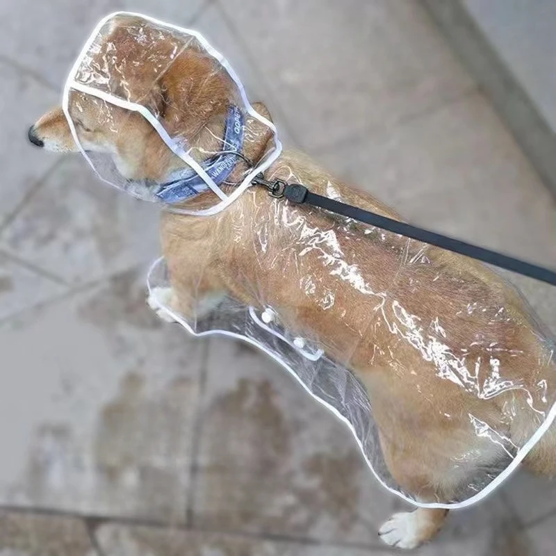 เสื้อกันฝนสุนัขลูกสุนัขโปร่งใส - Dog Raincoat บทวิจารณ์และราคา