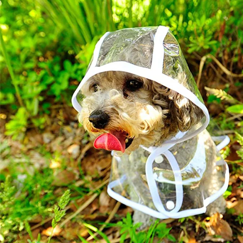 เสื้อกันฝนสุนัขลูกสุนัขโปร่งใส - Dog Raincoat บทวิจารณ์และราคา