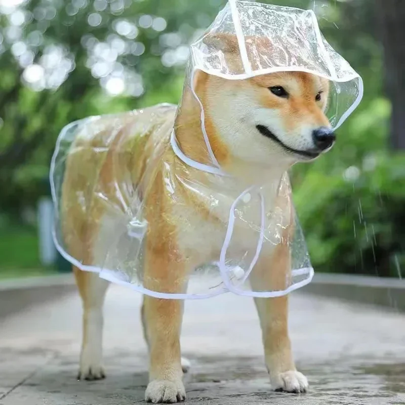 เสื้อกันฝนสุนัขลูกสุนัขโปร่งใส - Dog Raincoat บทวิจารณ์และราคา