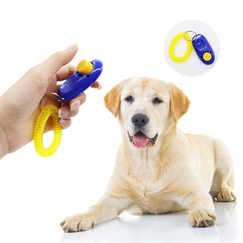 คลิกเกอร์ฝึกสุนัข, เครื่องฝึกเ - Training Clicker Dog บทวิจารณ์และราคา