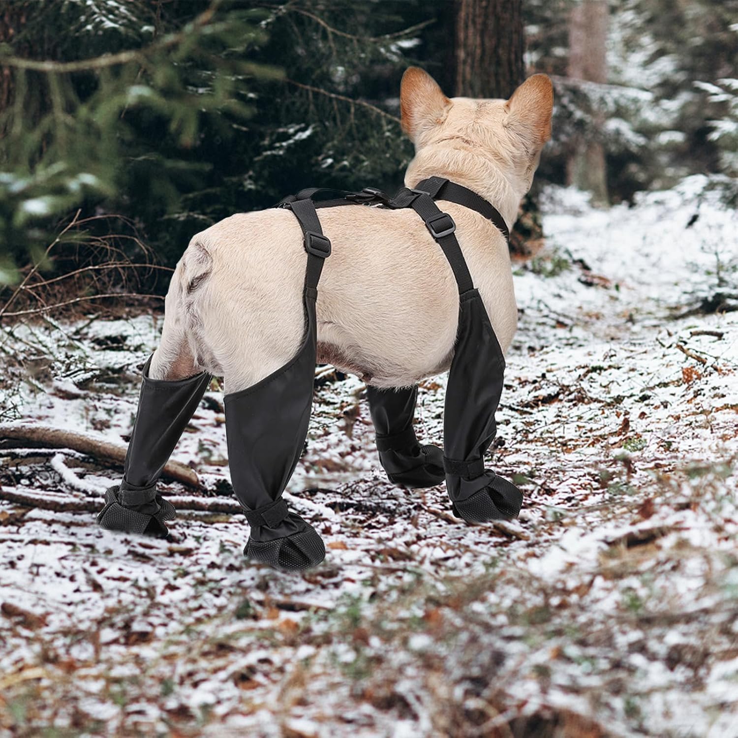 สุนัข Suspender รองเท้ากันน้ํา - Dog Booties Paw Protector บทวิจารณ์และราคา