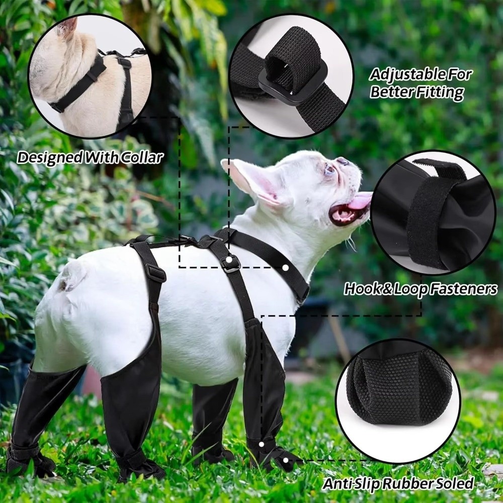 รองเท้าสุนัขกันน้ำ ป้องกันการล - Dog Booties Paw Protector บทวิจารณ์และราคา