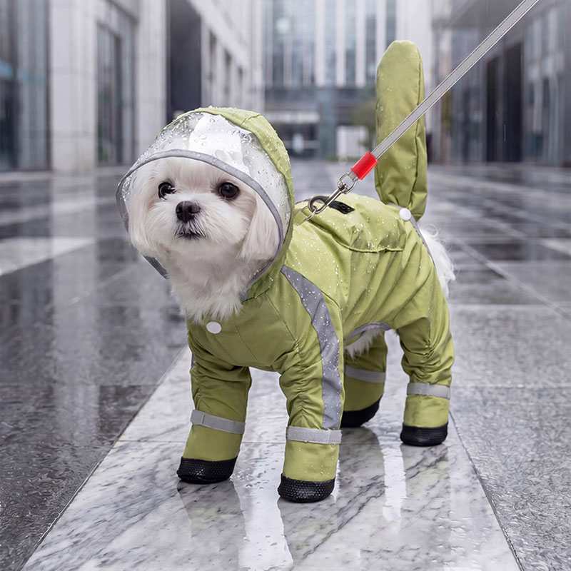 เสื้อกันฝนสำหรับสุนัขแบบใส มีฮ - Dog Raincoat บทวิจารณ์และราคา