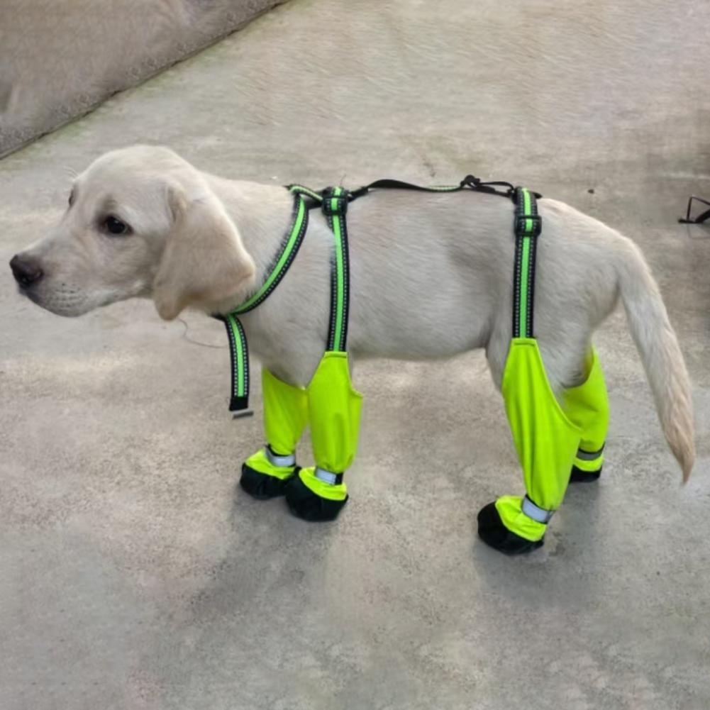 รองเท้าบูทกันลื่นสำหรับสุนัข ป - Dog Booties Paw Protector บทวิจารณ์และราคา