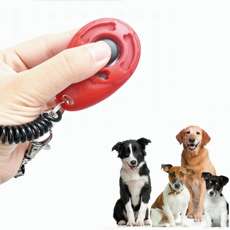 สายรัดข้อมือปรับระดับได้พร้อมค - Training Clicker Dog บทวิจารณ์และราคา