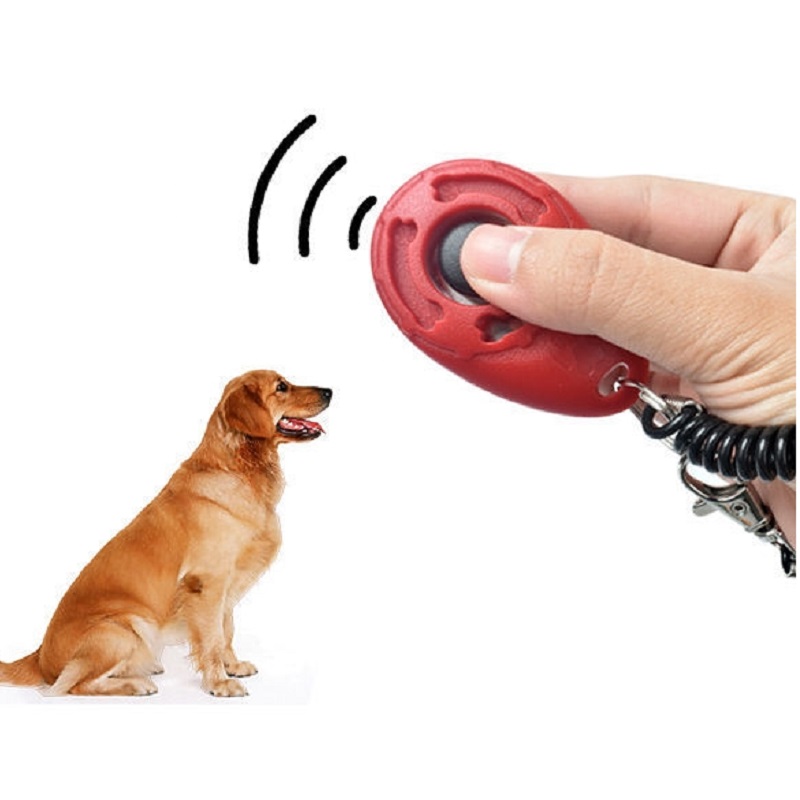 สายรัดข้อมือปรับระดับได้พร้อมค - Training Clicker Dog บทวิจารณ์และราคา