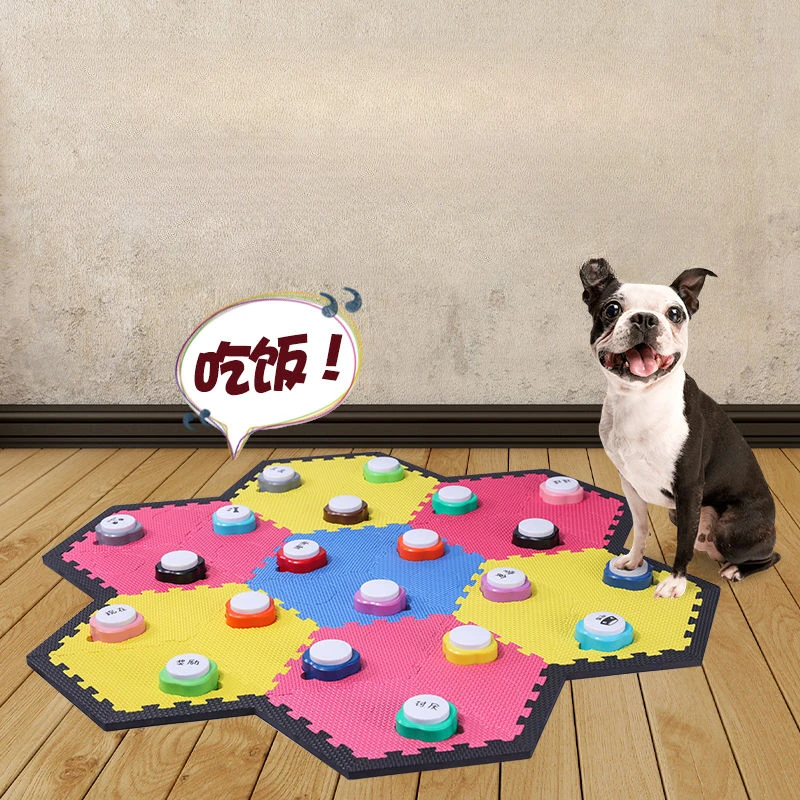 ของเล่นแมวแบบปุ่มกดขนาดเล็ก บั - Training Clicker Dog บทวิจารณ์และราคา