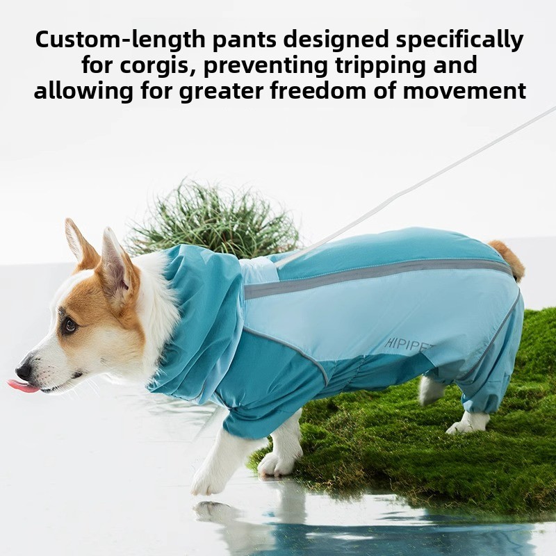 เสื้อกันฝนสุนัขแบบเต็มตัว ปี 2 - Dog Raincoat บทวิจารณ์และราคา
