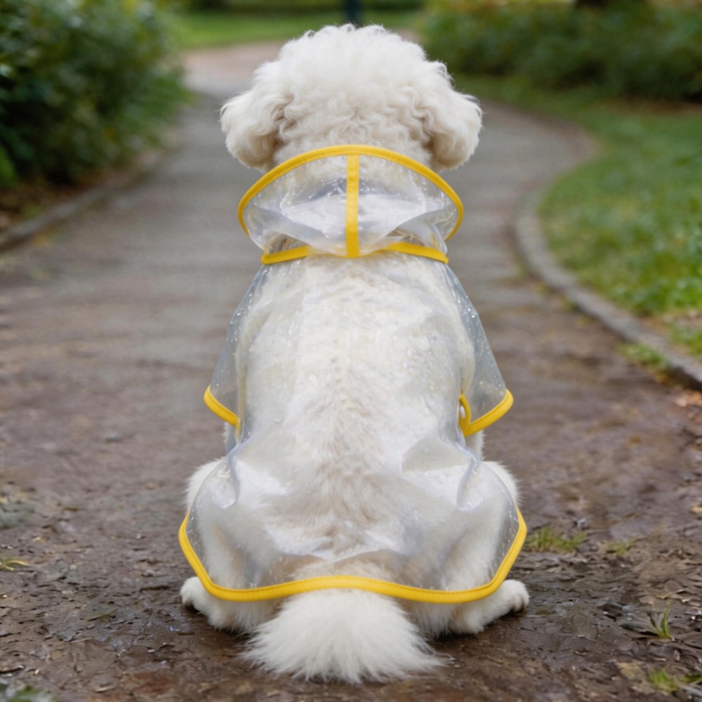 เสื้อกันฝนสุนัขแบบใส คลุมทั้งต - Dog Raincoat บทวิจารณ์และราคา