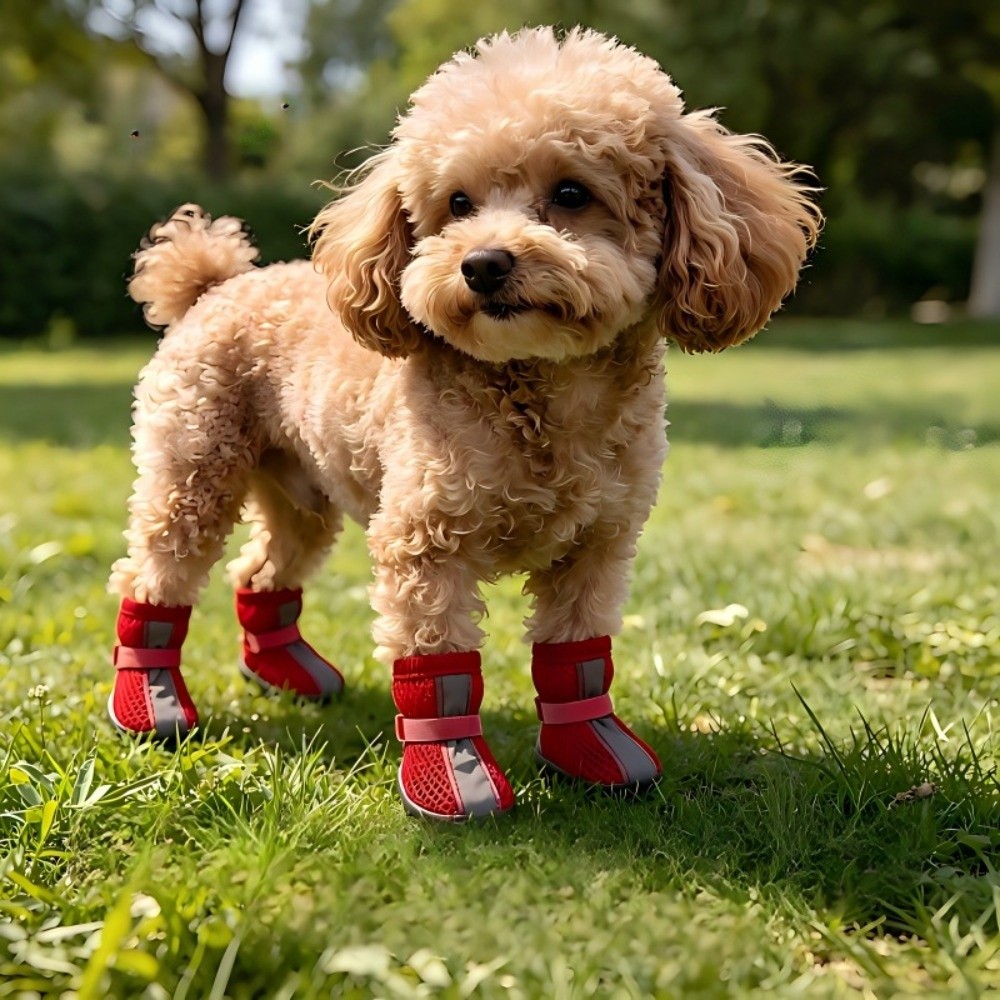 4 ชิ้น/ชุด รองเท้าสุนัขกันลื่น - Dog Booties Paw Protector บทวิจารณ์และราคา