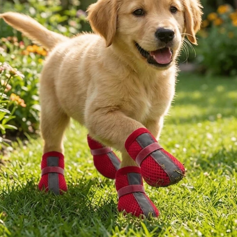 4 ชิ้น/ชุด รองเท้าสุนัขกันลื่น - Dog Booties Paw Protector บทวิจารณ์และราคา