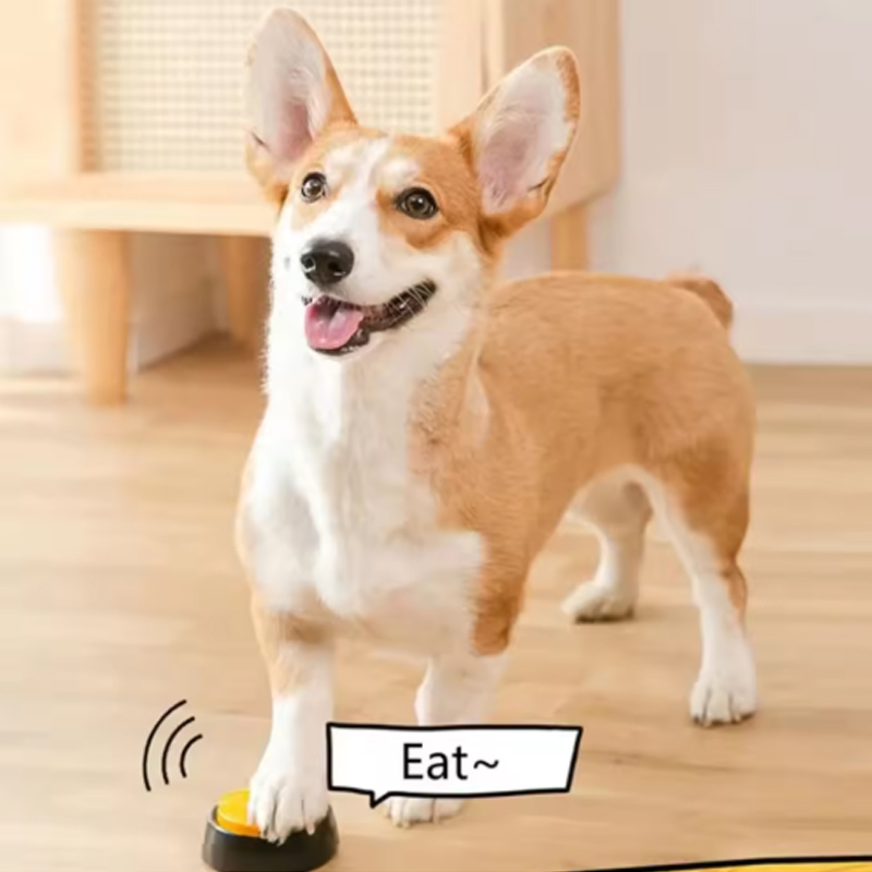 ปุ่มสื่อสารสุนัข ปุ่มบันทึกเสี - Training Clicker Dog บทวิจารณ์และราคา