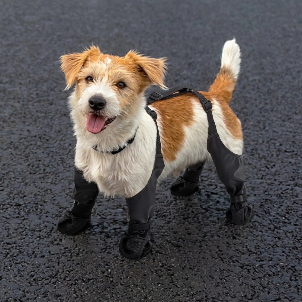 รองเท้าสุนัขกันน้ำกันลื่น ปรับ - Dog Booties Paw Protector บทวิจารณ์และราคา