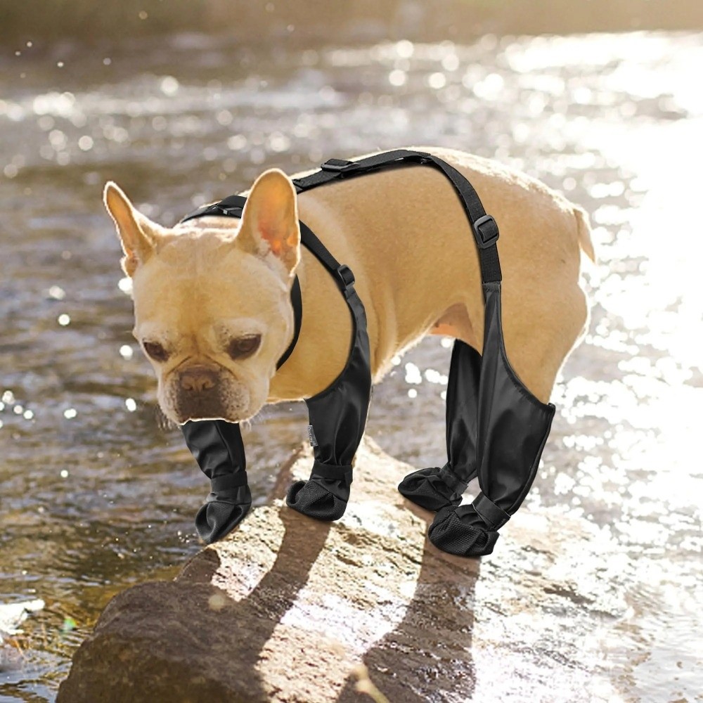รองเท้าสุนัขกันน้ำกันลื่น ปรับ - Dog Booties Paw Protector บทวิจารณ์และราคา