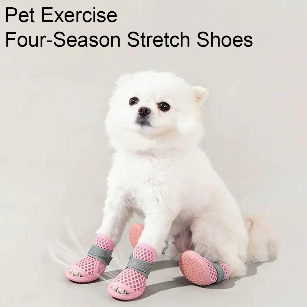 รองเท้าสุนัขแบบตาข่ายระบายอากา - Dog Booties Paw Protector บทวิจารณ์และราคา