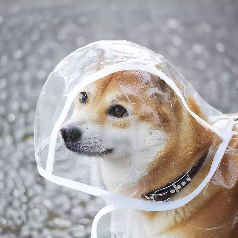 เสื้อกันฝนสำหรับสัตว์เลี้ยง XS - Dog Raincoat บทวิจารณ์และราคา