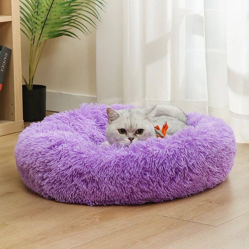 ที่นอนสุนัขผ้าฝ้ายปาร์ตี้คอตตอ - Pet Supplies In Australia บทวิจารณ์และราคา