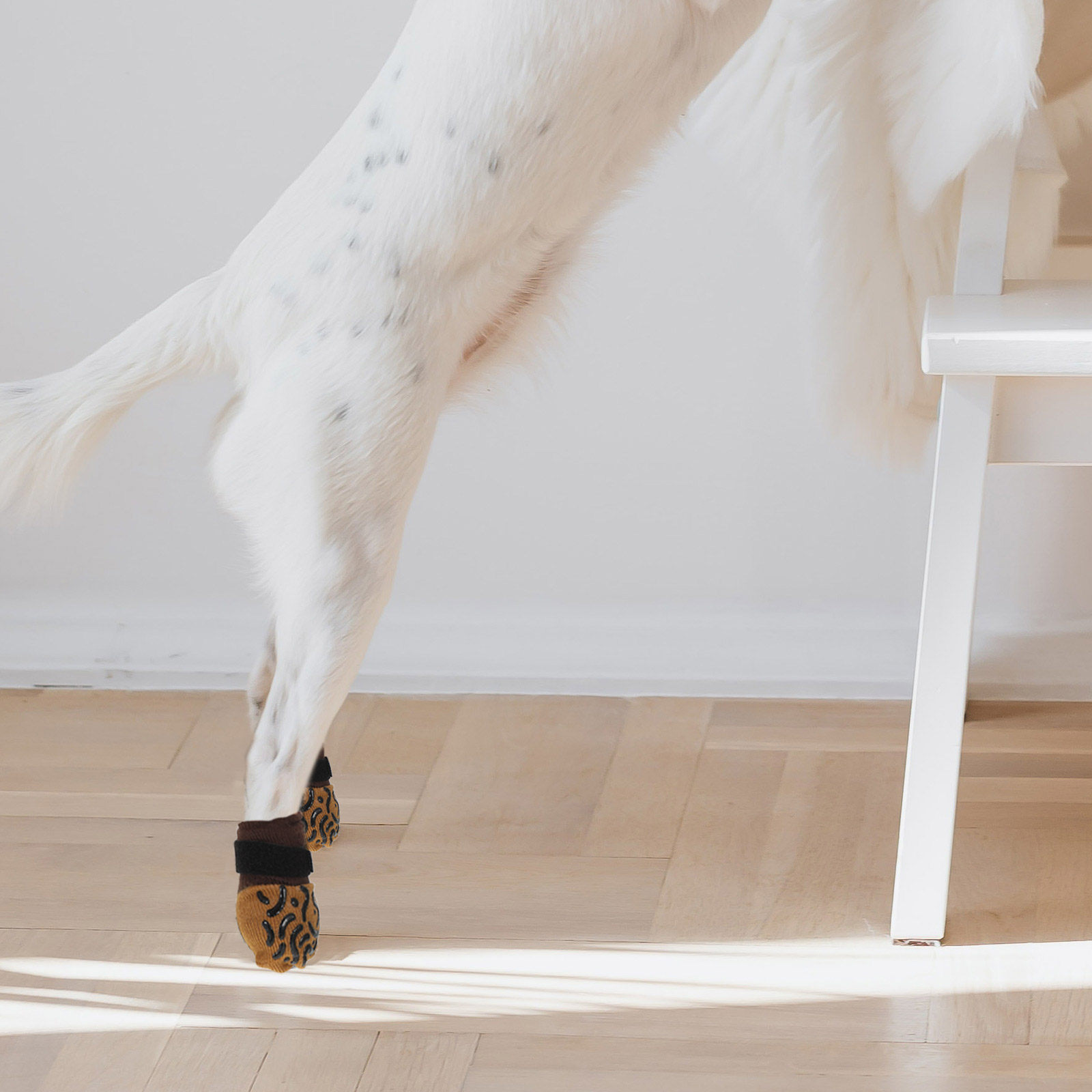 ถุงเท้าสุนัขกันลื่น 4 ชิ้น ป้อ - Dog Booties Paw Protector บทวิจารณ์และราคา